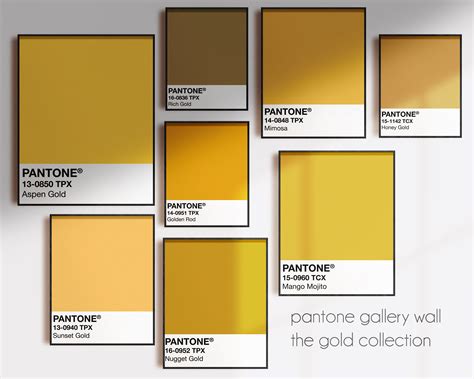 versace gold pantone|Versace color palette.